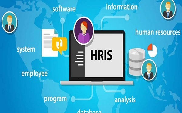 SV.HRIS is a HRM software developed by an enterprise software development company in Vietnam