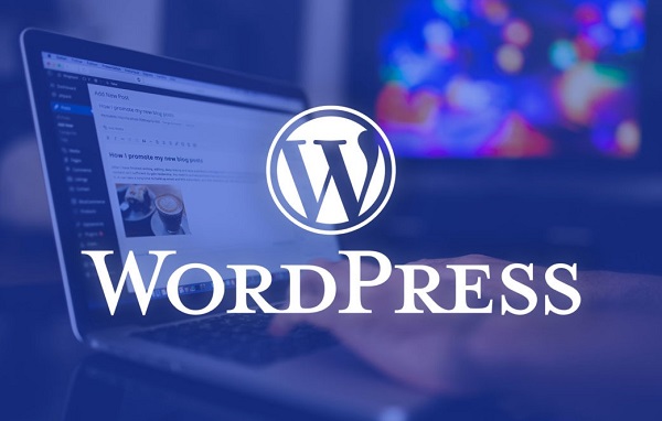Wordpress is some in the best platform for ecommerce website development