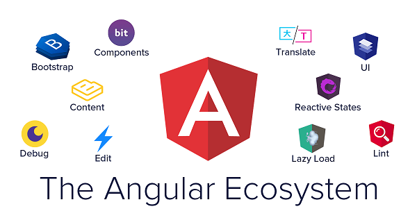Created by Google, Angular is the most adaptable framework